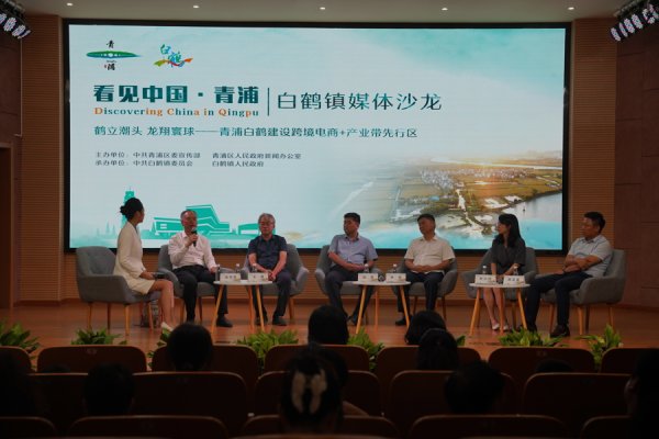 中证策略 以跨境电商为翼“连通世界”！“看见中国・青浦”微访谈聚焦白鹤